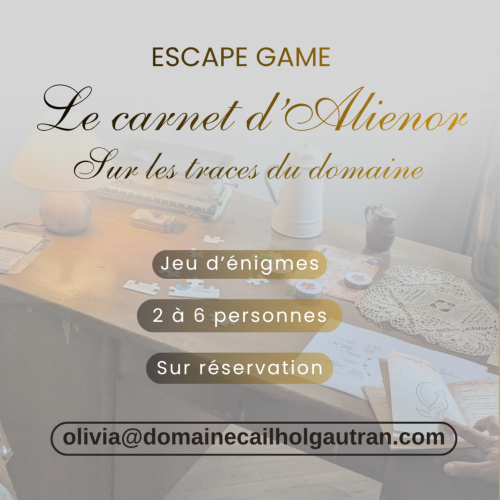 Escape game : Le Carnet d'Aliénor